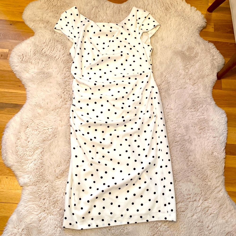 Adrianna Papell Polka Dot Dress Size 14